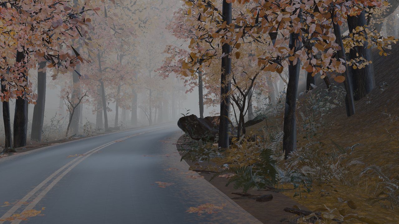 Wet asphalt reflections and damp autumn leaves along a forest curve