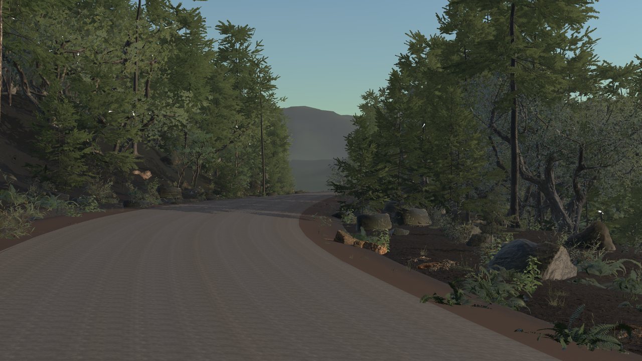 Forest Circuit environment in Forest Drive showing evergreen conifers, rocky hillsides, and a sweeping road bend