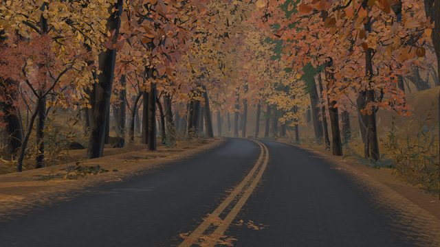 Golden Canopy Tunnel in Autumn Forest