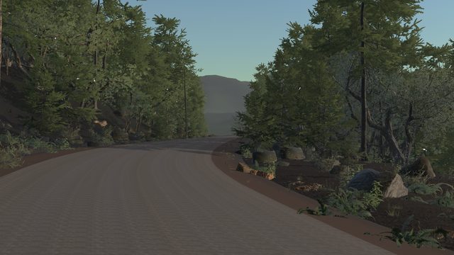 Pacific Northwest Ridge Curve on Forest Circuit